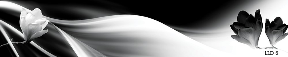 Pildid / - - LLD_6