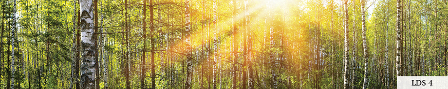 Pildid / - - LDS 4