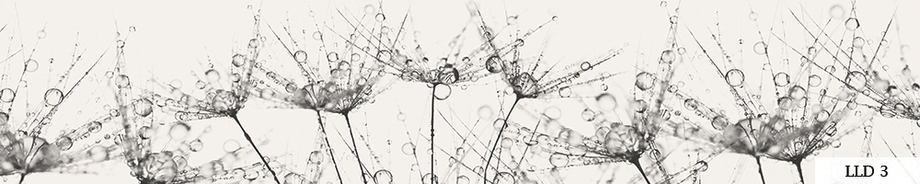 Pildid / - - LLD 3