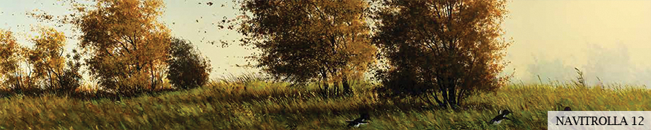 Pildid / - - NAVITROLLA 12